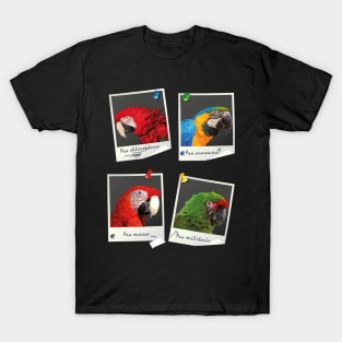 Macaws T-Shirt